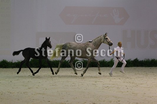 CA D ORO_MILANO_2010_SS3_3918.jpg